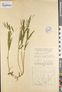 LE 01095890