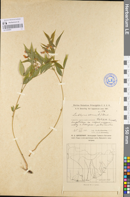 LE 01095895