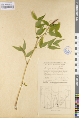 LE 01095896