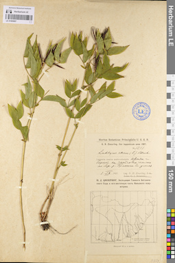LE 01095897