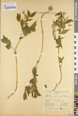 LE 01095902