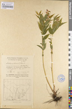 LE 01095905