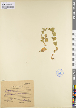 LE 01095908