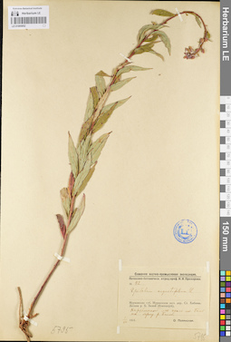 LE 01095952