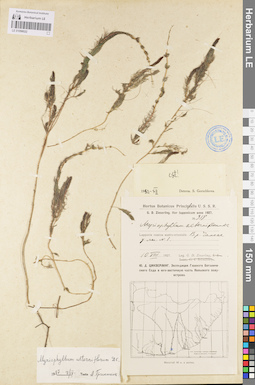LE 01096022