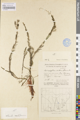 LE 01096023
