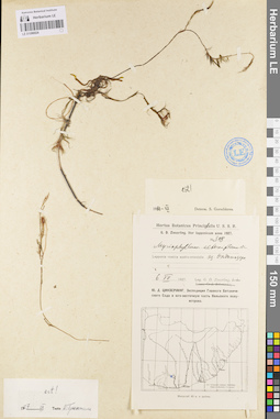 LE 01096024