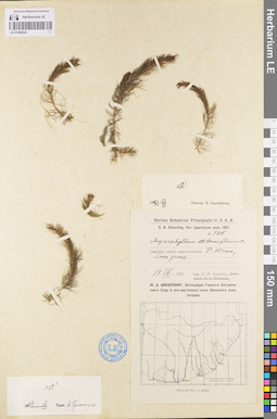 LE 01096025