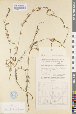 LE 01096028