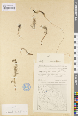 LE 01096029