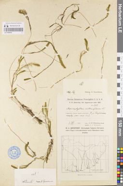 LE 01096030