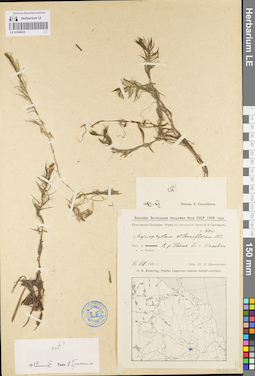 LE 01096033