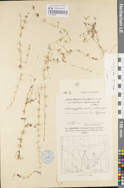 LE 01096034
