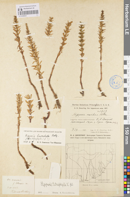 LE 01096043