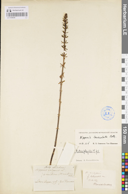LE 01096046