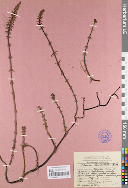 LE 01096062