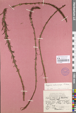 LE 01096068