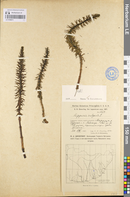 LE 01096073