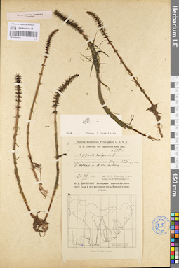 LE 01096076