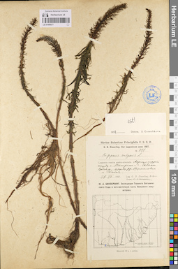 LE 01096077