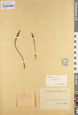 LE 01096079