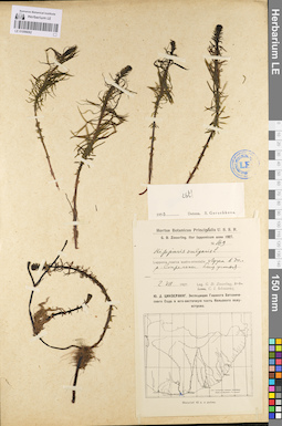 LE 01096082