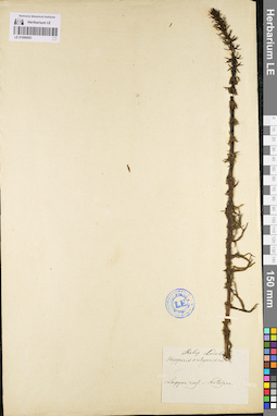 LE 01096093