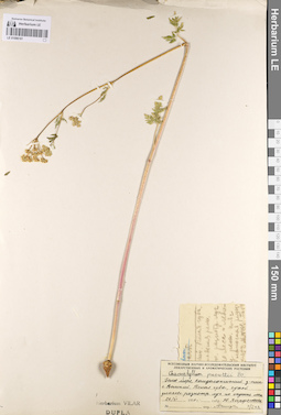 LE 01096161