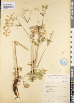 LE 01096166