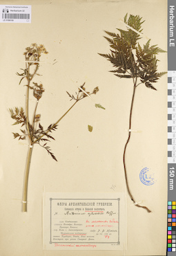 LE 01096169