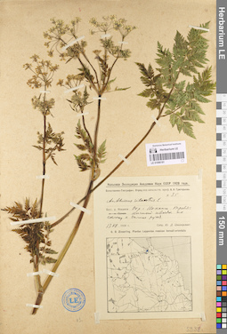 LE 01096181