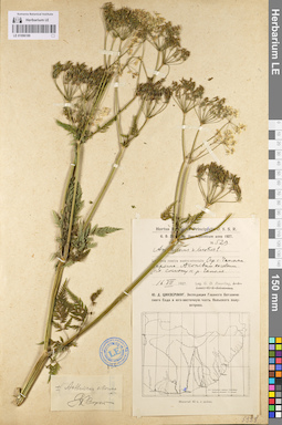 LE 01096189