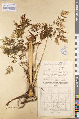LE 01096190