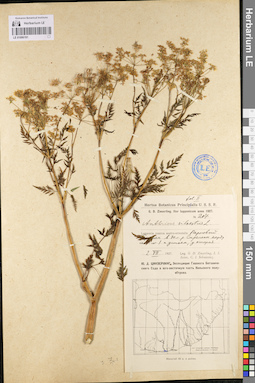 LE 01096191