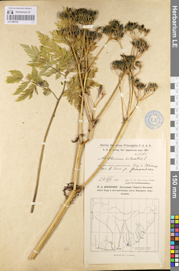 LE 01096192