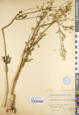 LE 01096194