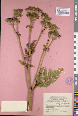 LE 01096197