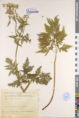 LE 01096201