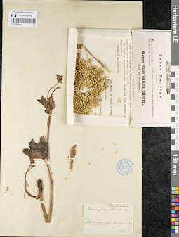 LE 01096418