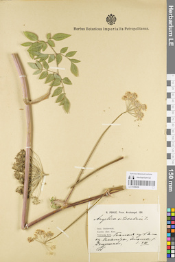 LE 01096456