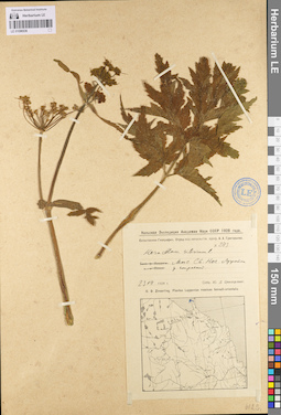 LE 01096536