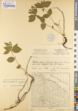 LE 01096565