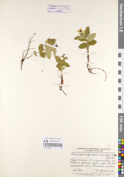 LE 01096583