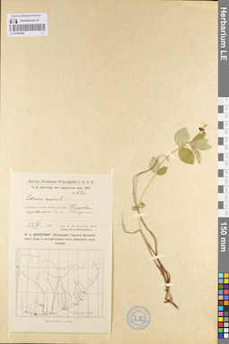 LE 01096596