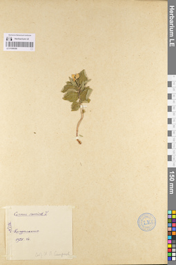 LE 01096598