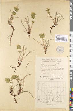 LE 01096605