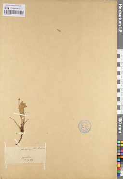 LE 01096624
