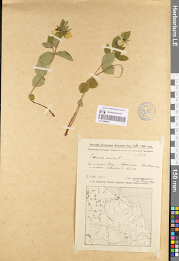 LE 01096629