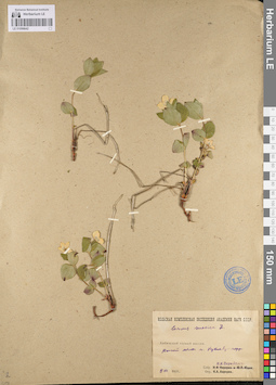LE 01096642