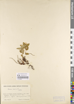 LE 01096664